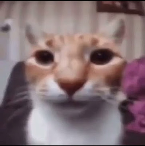 rsmayte8